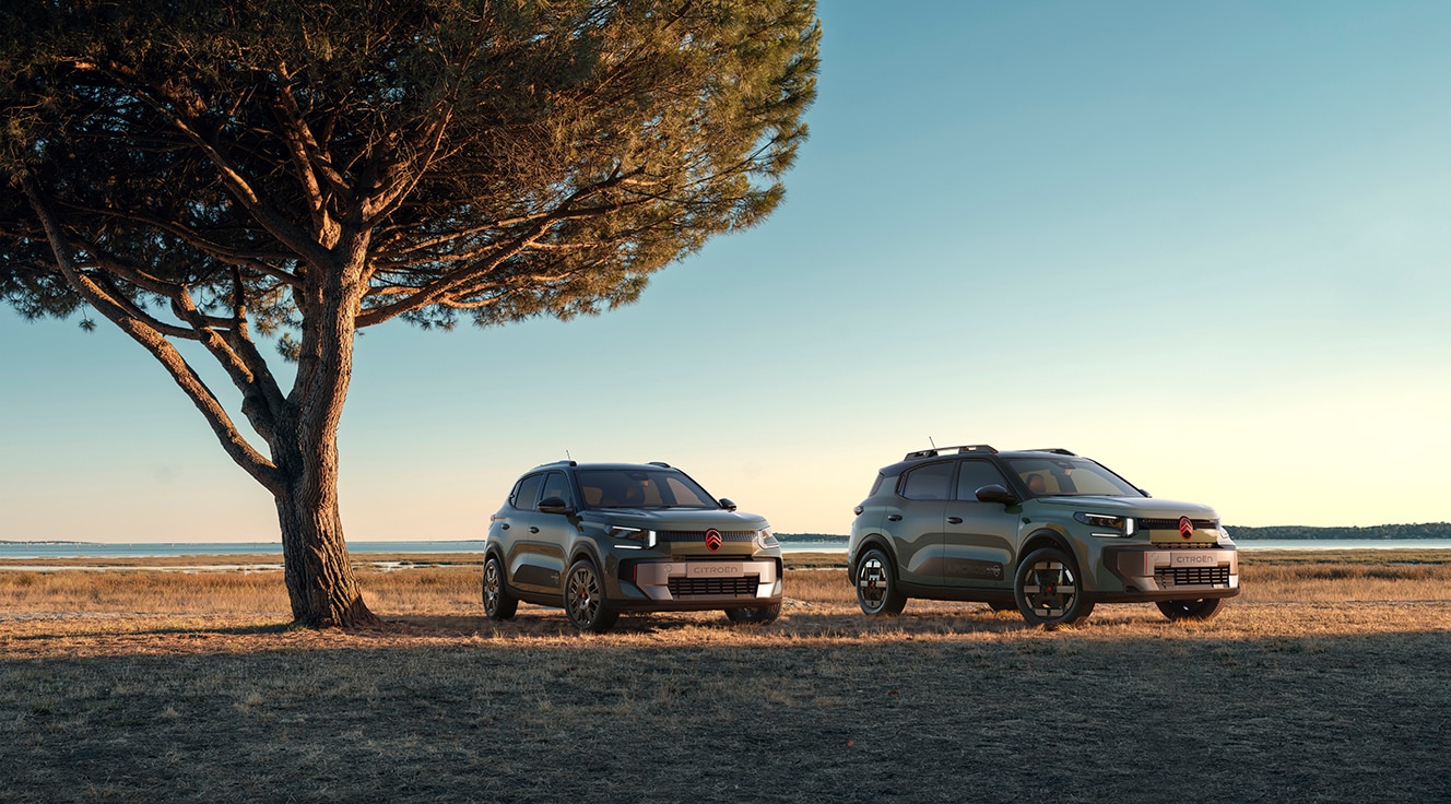 Two Citroën cars parked on dry grass beside a large tree, with a calm body of water and a clear blue sky in the background.